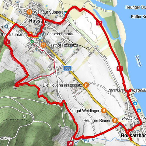 Smaragdeidechse Wachau