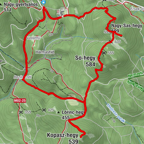 Sas-hegy, Kopaszhegy