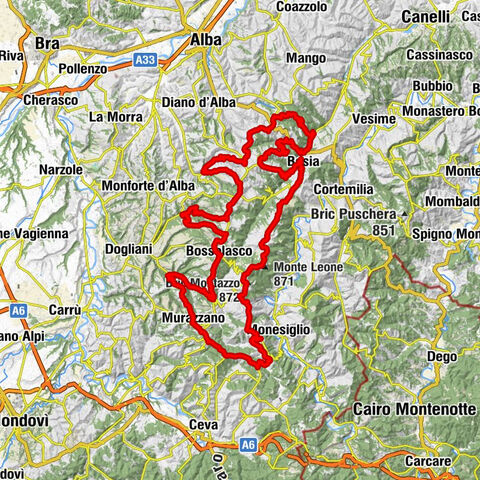 The Ascents of Champions