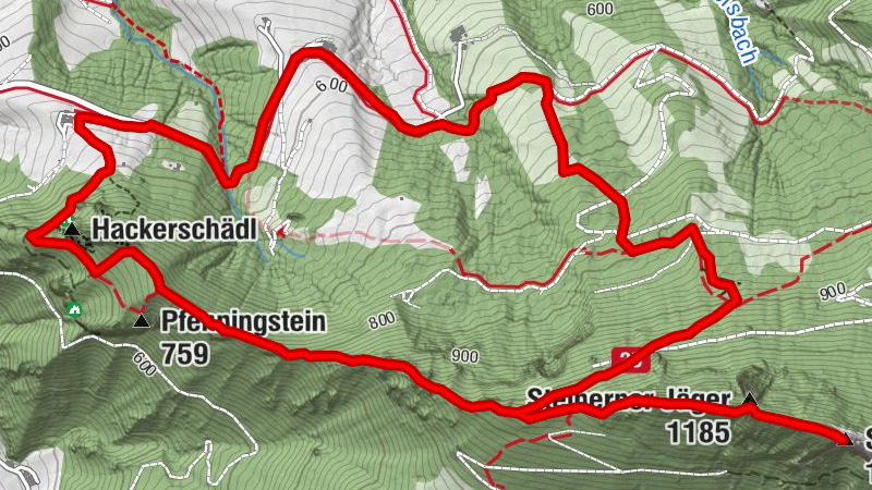 Schieferstein - 24.3.2013