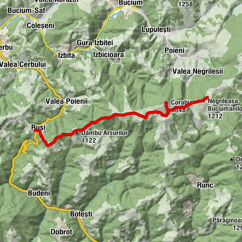 Ruși - Dâmbu Arsurilor - Corabia - Negrileasa Buciumanilor
