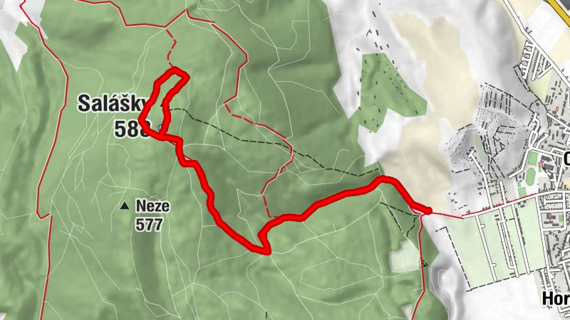 Nové Mesto nad Váhom - Salášky - Salašky