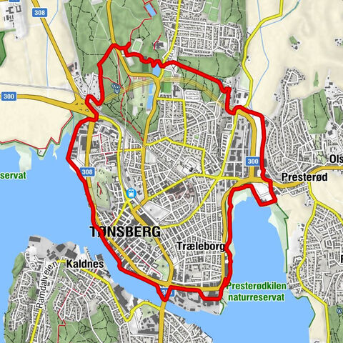 Tønsberg - Træleborg - Groovy Diner