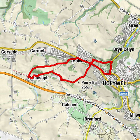 Holywell - Pen y Ball - St. David's Church - St Winefride's Well