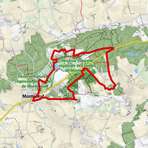 Les Mégalithes - Église Saint-Michel - Monteneuf