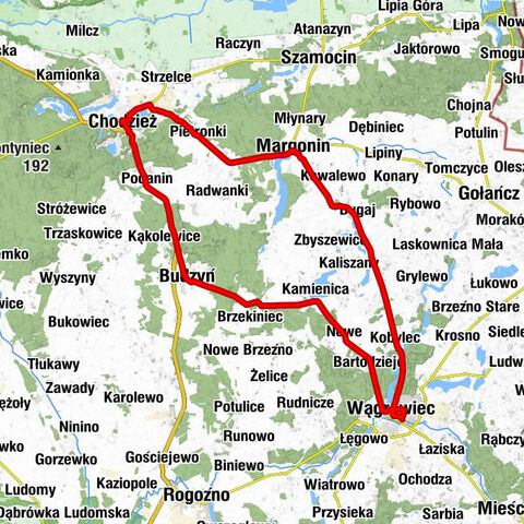Wągrowiec - Kościół pw. św. Wojciecha - Kościół pw. Świętego Floriana - Kościół pw. św. Andrzeja Boboli