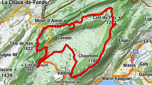 Auberge du Chasseur - Chaumont - Fenin