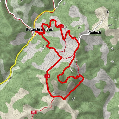 Bulzeștii de Sus - Păulești