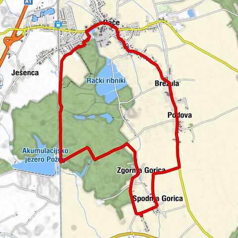 Rače - Spodnja Gorica - Rače