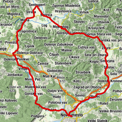 The Dolenjska circle